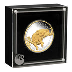 Gold and silver coin featuring a koala in a display case with a black background
