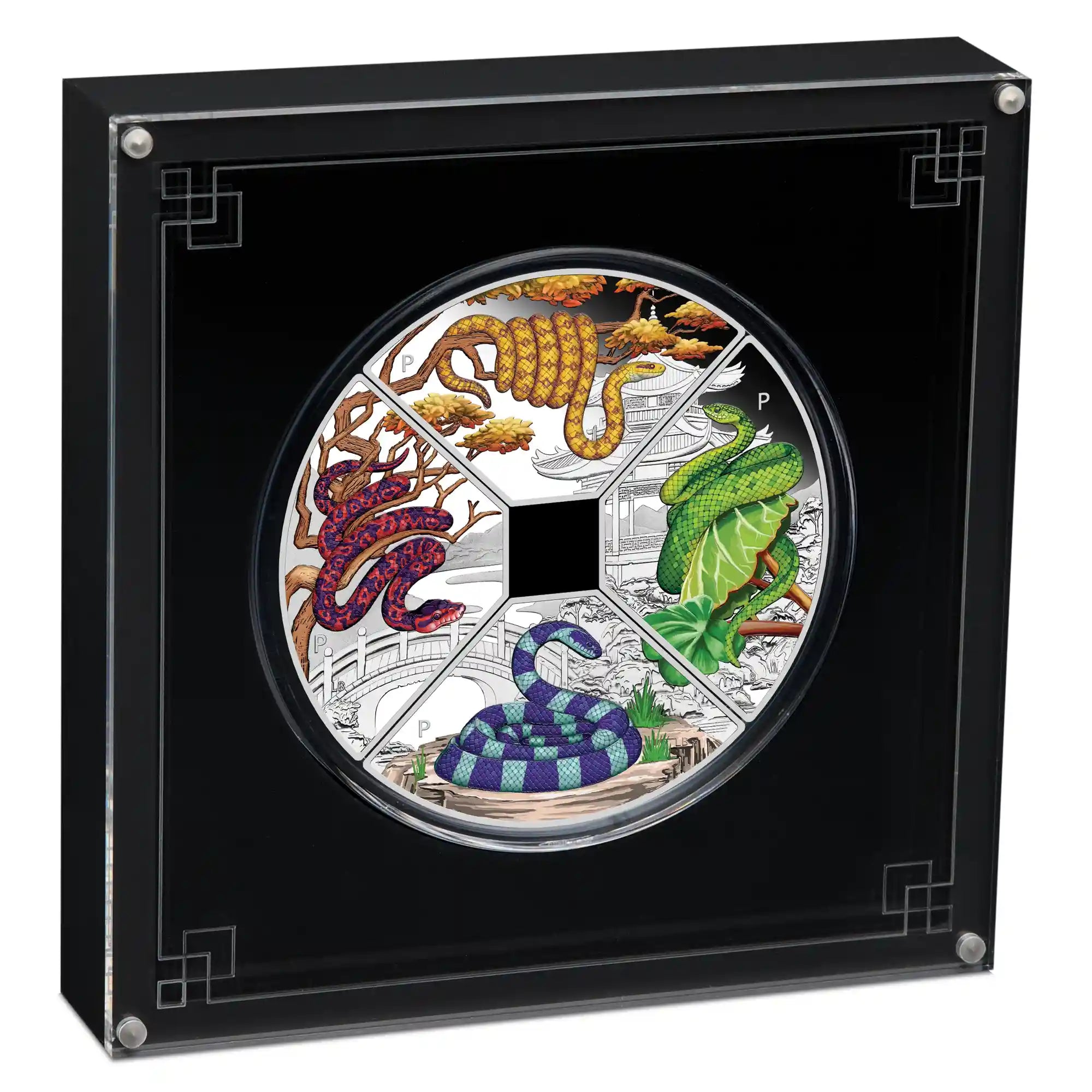 2025 snake quadrant silver proof coloured one ounce from the Perth Mint colorful snake design on a coin in a black display case