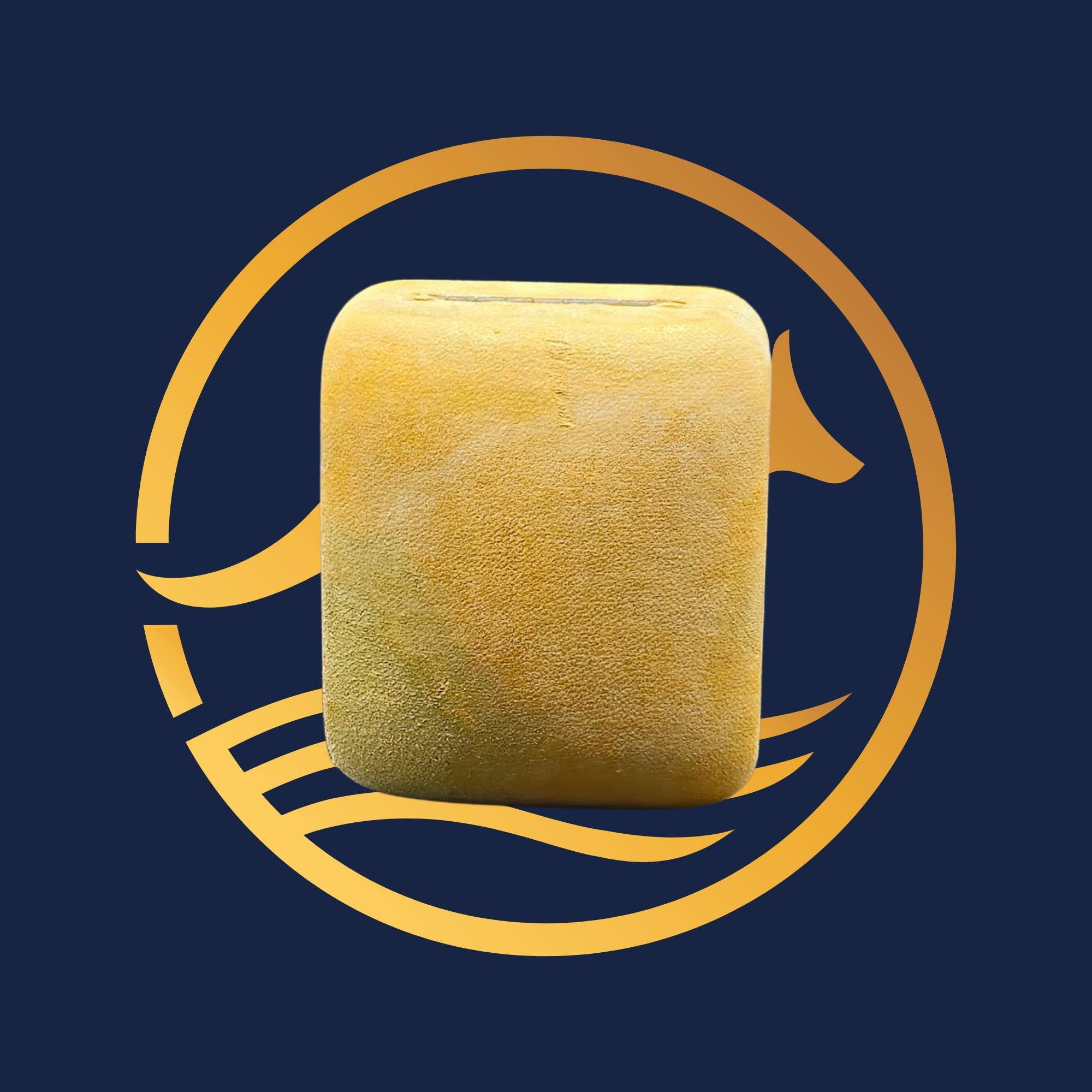 2006 Year of the Dog one-ounce silver gilded coin from The Perth Mint, case on a blue background